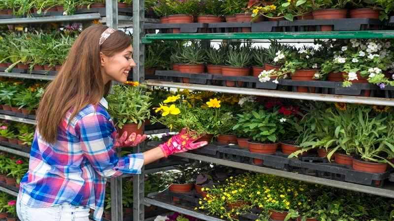 Decoradhouse Garden Tips by DecoratorAdvice: Complete Guide to a Beautiful, Beginner-Friendly Garden